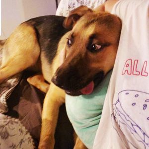 Meet your Posher, Katy